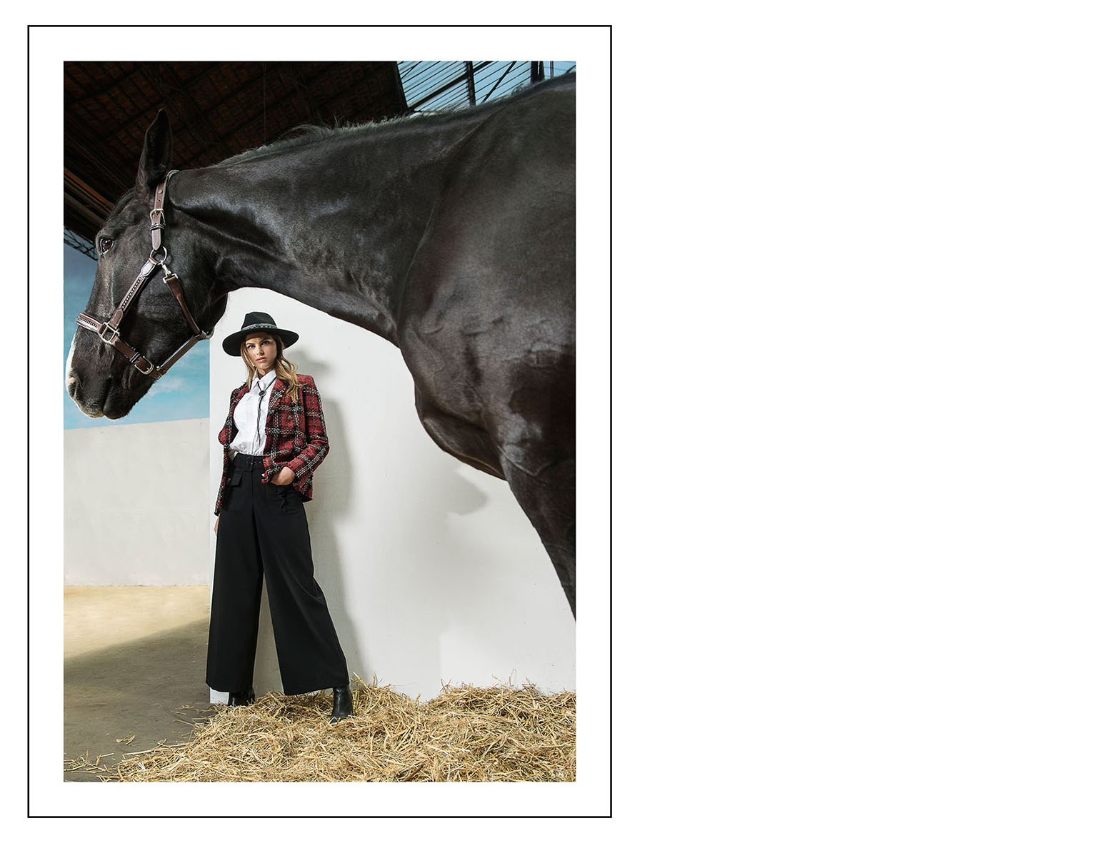 Lauren vidal online hiver 2020